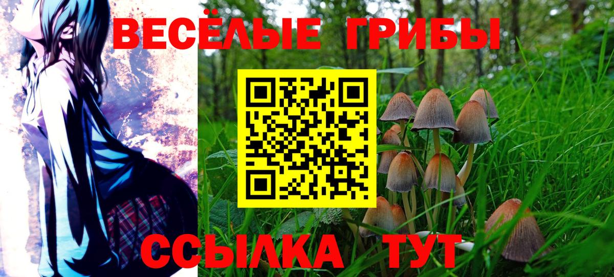 купить   Галлюциногенные грибы Psilocybine cubensis  Вход с VPN  Первоуральск 